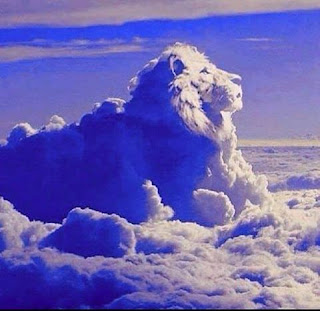 La misión del león Cecil y el papel del reino animal en la evolución espiritual