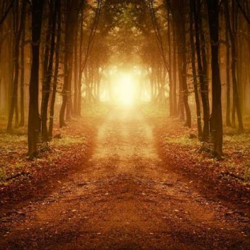 ¿Obtener soluciones por la vía espiritual?